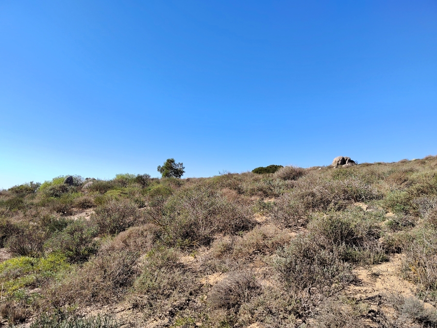 0 Bedroom Property for Sale in Steenbergs Cove Western Cape